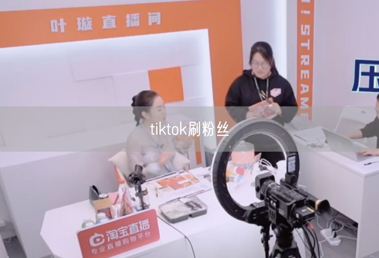 tiktok刷粉丝